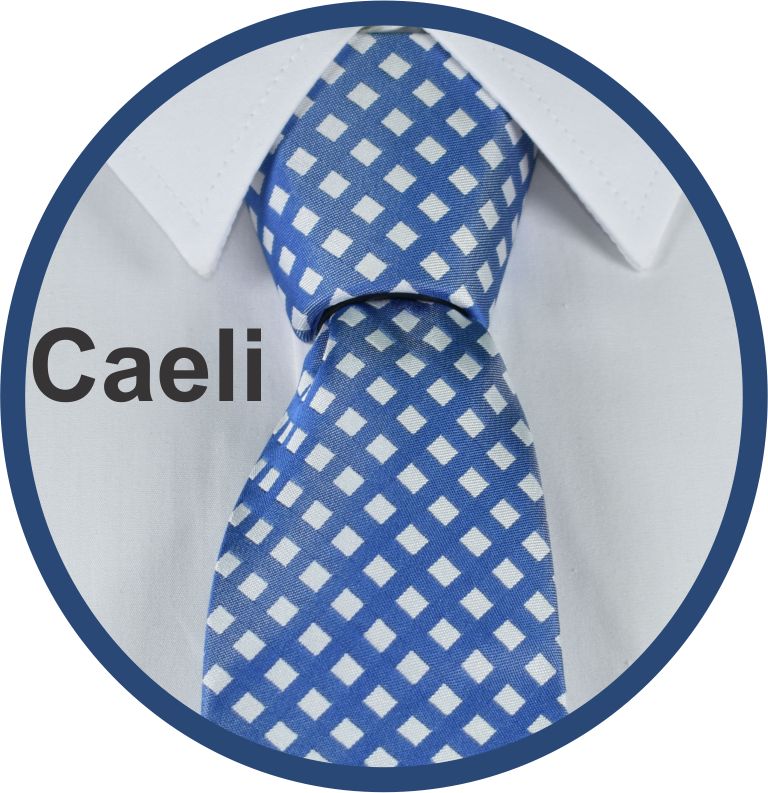 Caeli Forever Tie Necktie