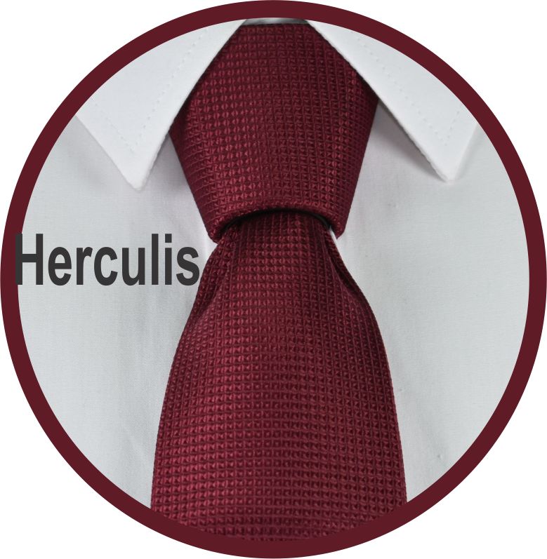 Herculis Forever Tie Necktie