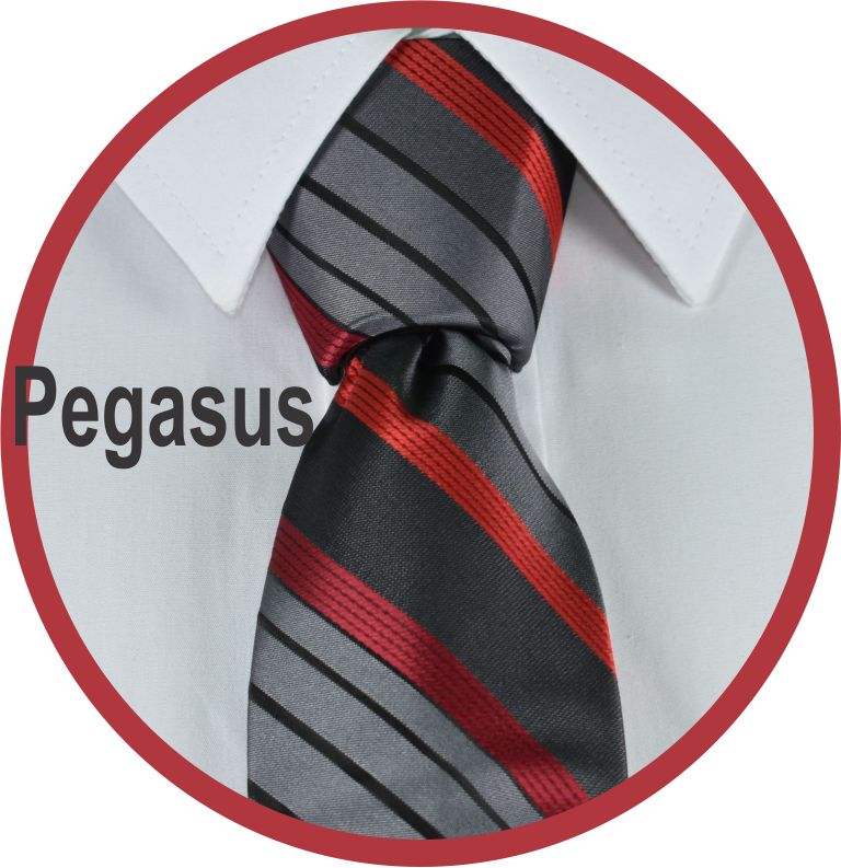 Pegasus Forever Tie Necktie